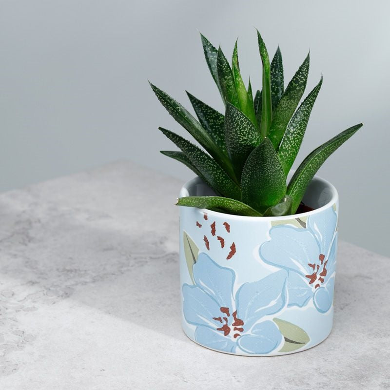 Ceramic Blue Floral Plant Pot